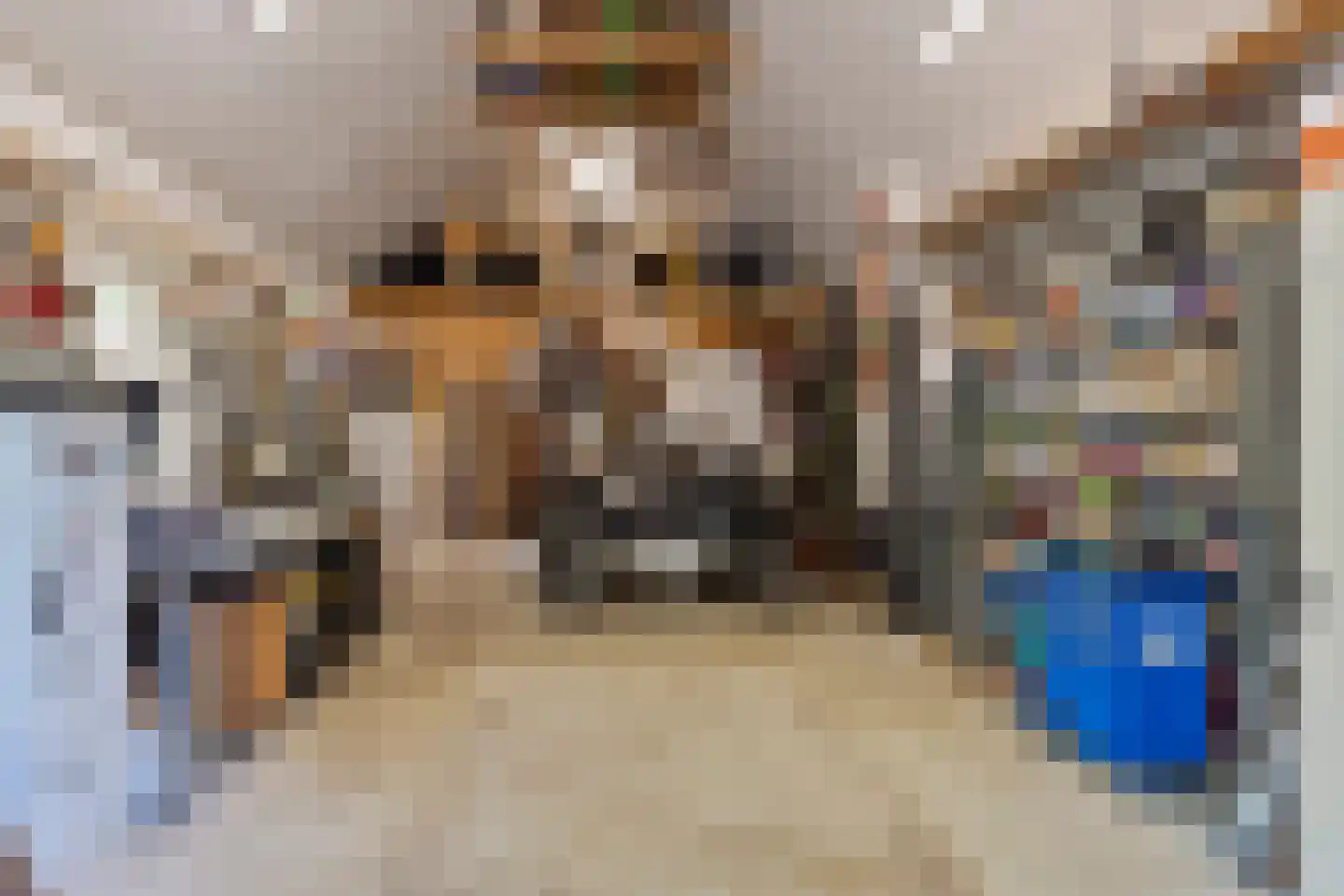 Hoge Slagdijk 4 Vorden thumbnail 51