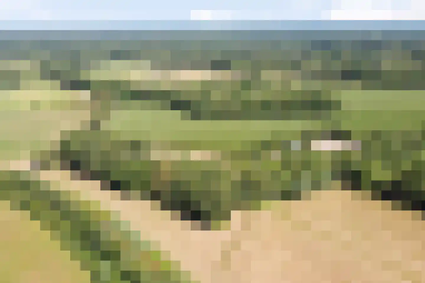 Hoge Slagdijk 4 Vorden thumbnail 54