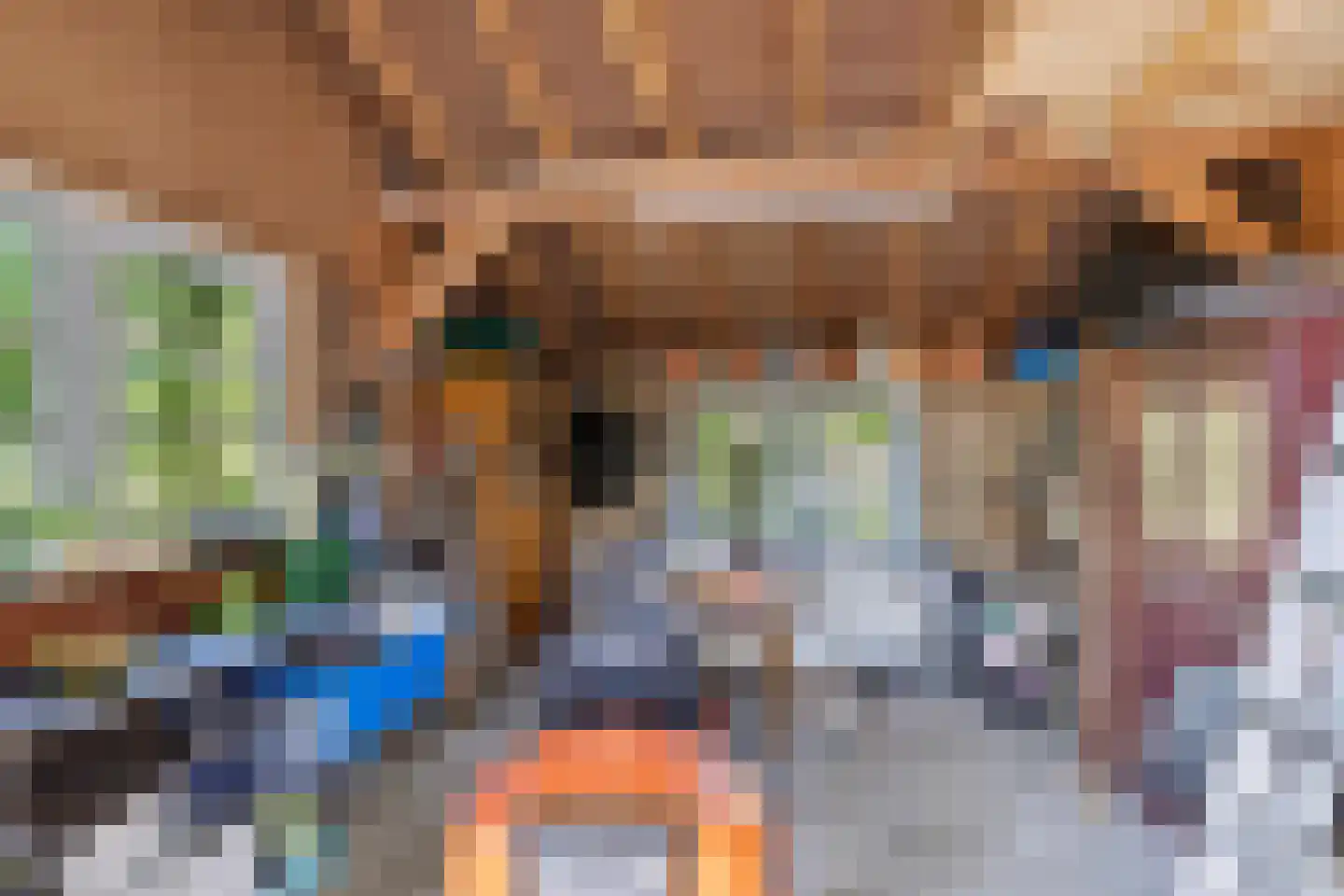 Hoge Slagdijk 4 Vorden thumbnail 58