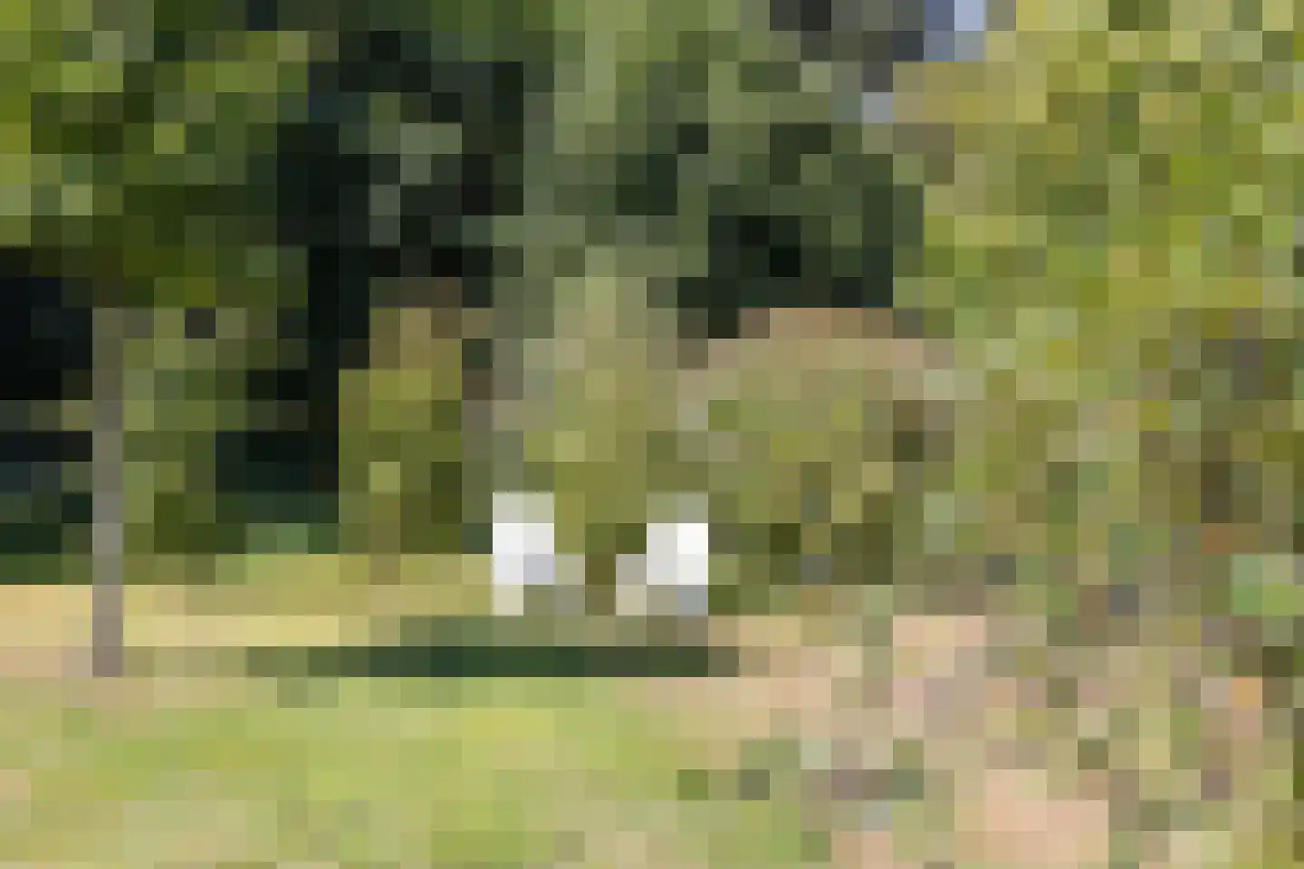 Hoge Slagdijk 4 Vorden thumbnail 60