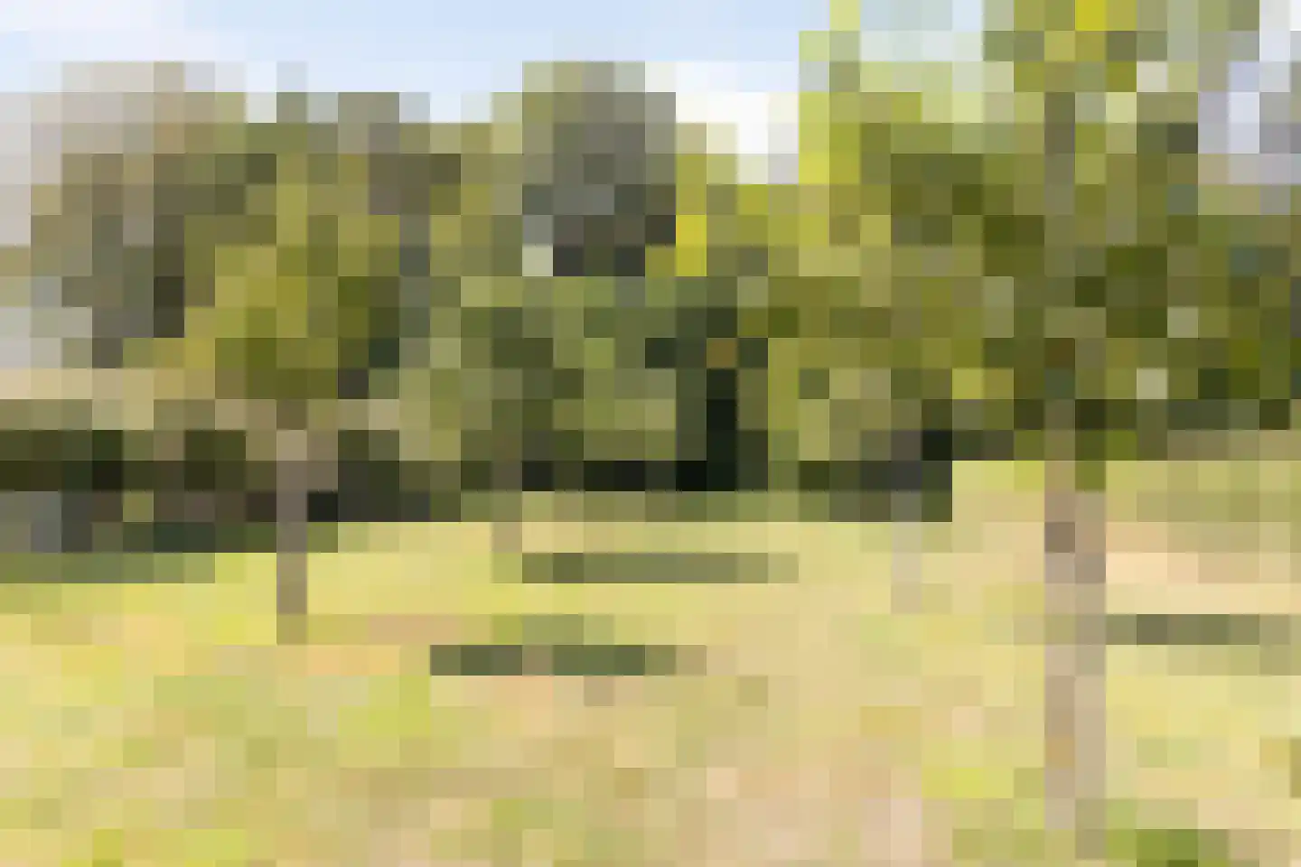 Hoge Slagdijk 4 Vorden thumbnail 61