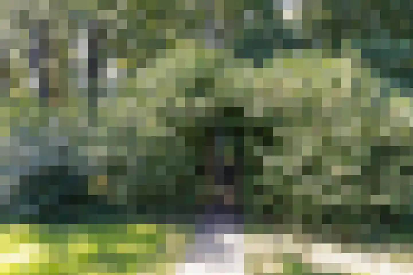 Hoge Slagdijk 4 Vorden thumbnail 62