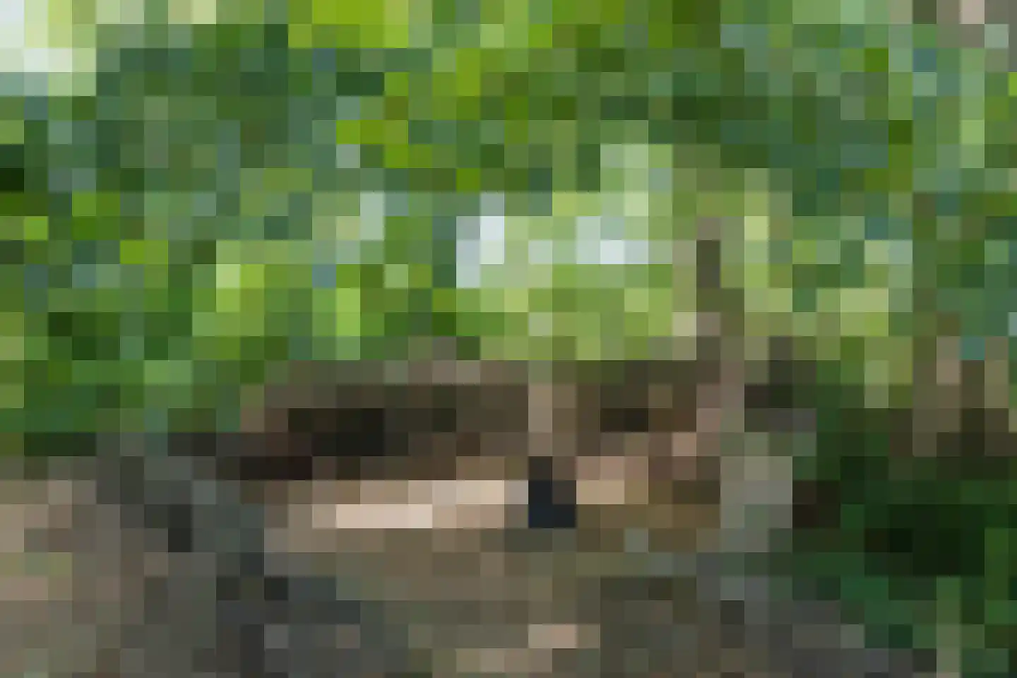 Hoge Slagdijk 4 Vorden thumbnail 63