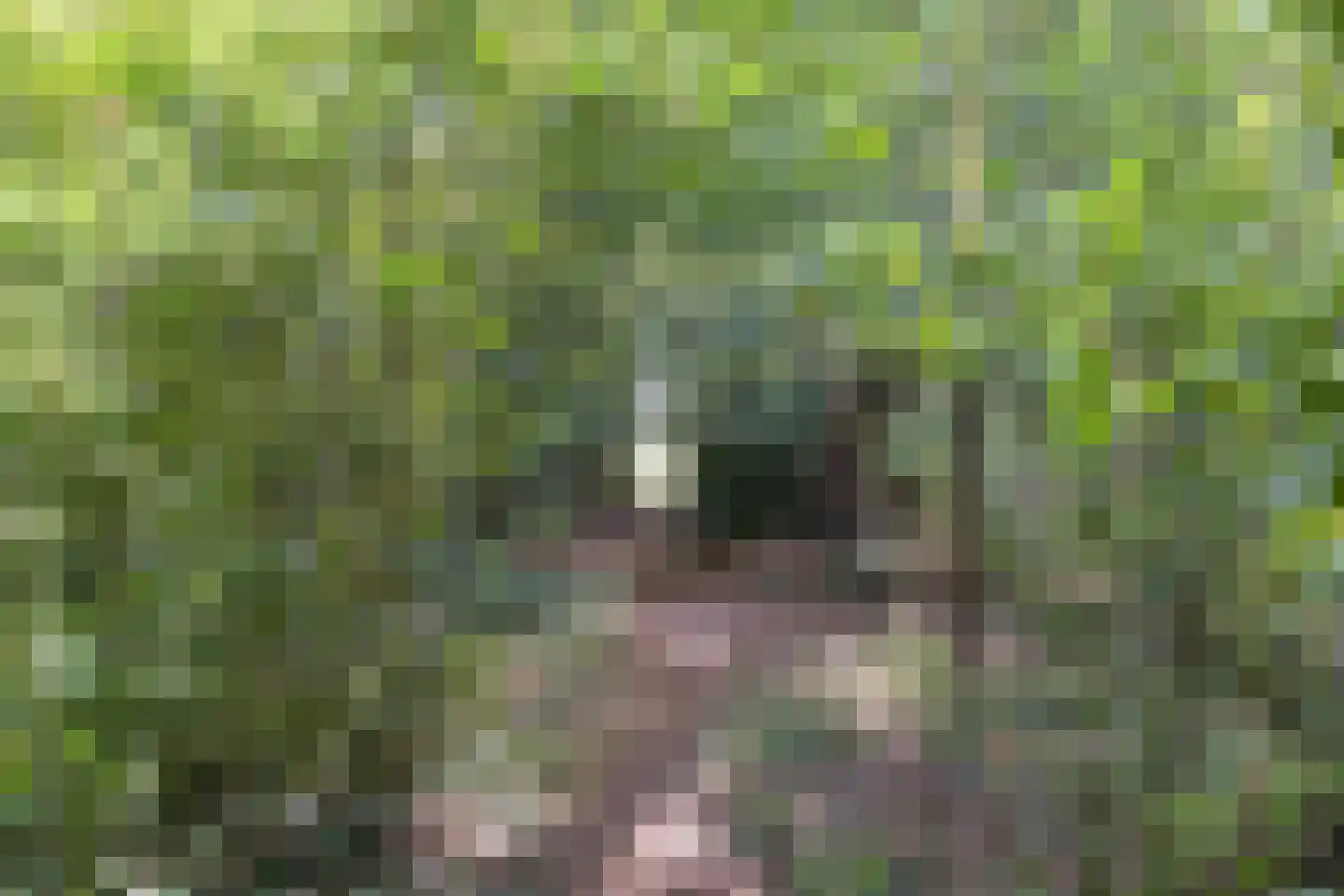 Hoge Slagdijk 4 Vorden thumbnail 64