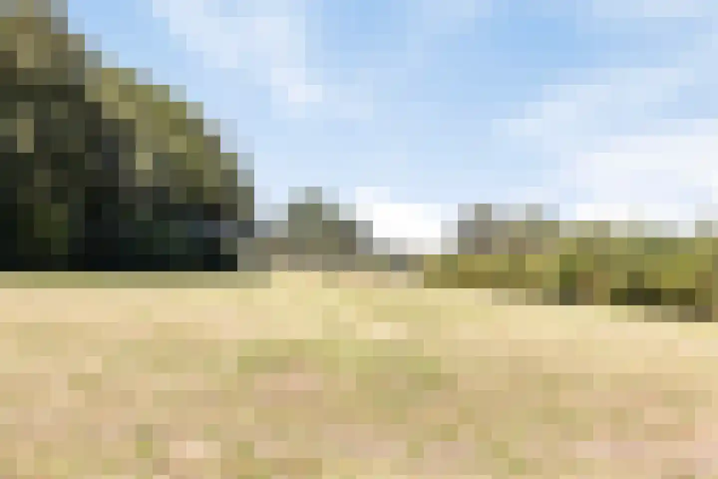 Hoge Slagdijk 4 Vorden thumbnail 65
