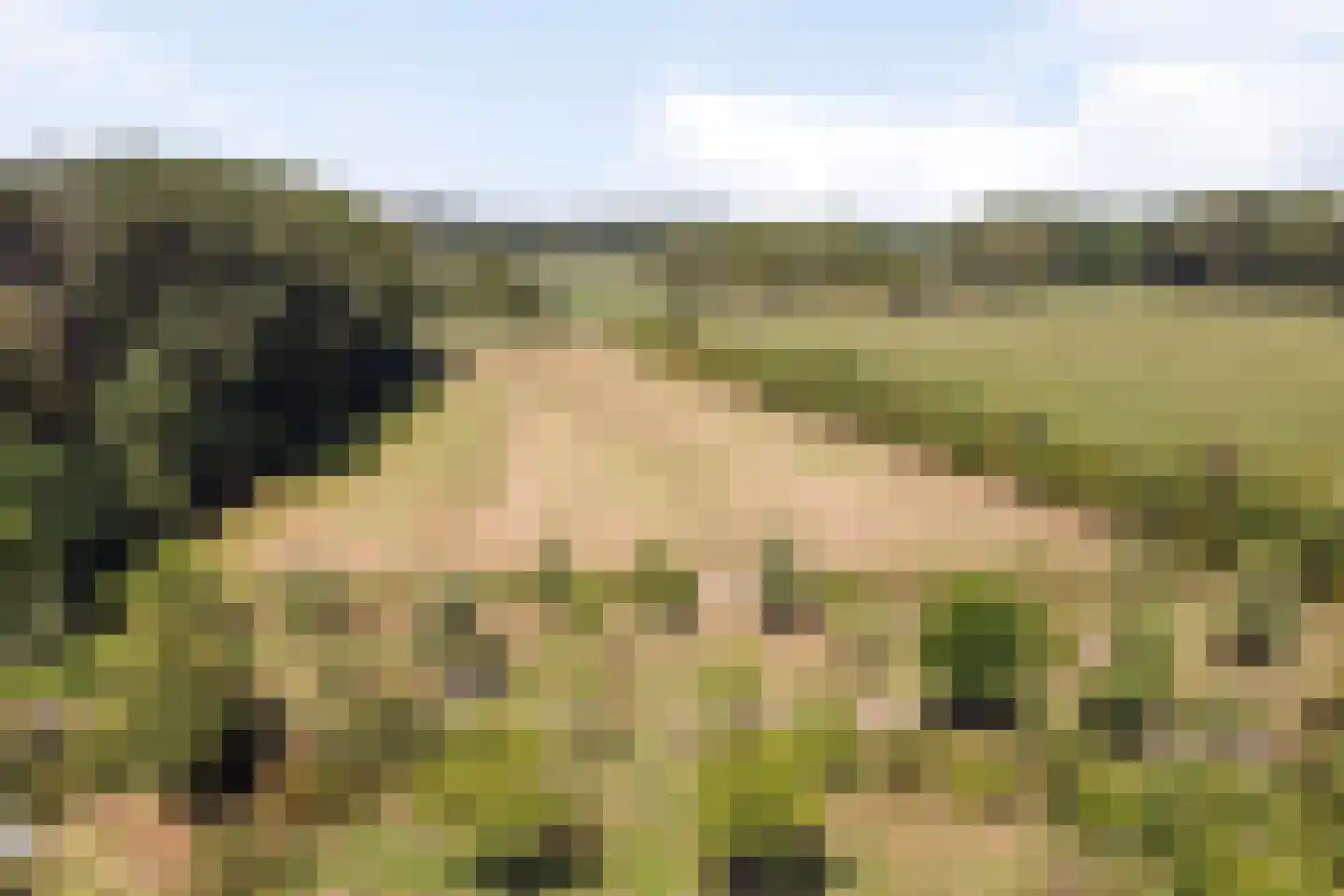 Hoge Slagdijk 4 Vorden thumbnail 66