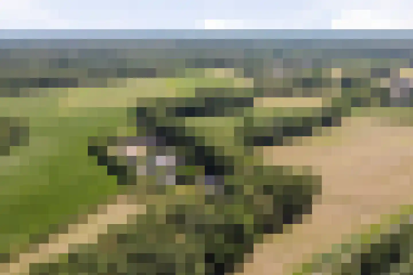Hoge Slagdijk 4 Vorden thumbnail 69
