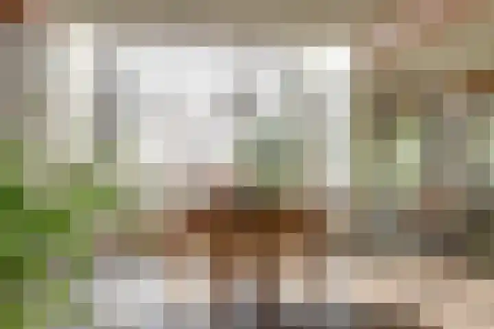 Hoge Startwijk 1 Beugen thumbnail 13
