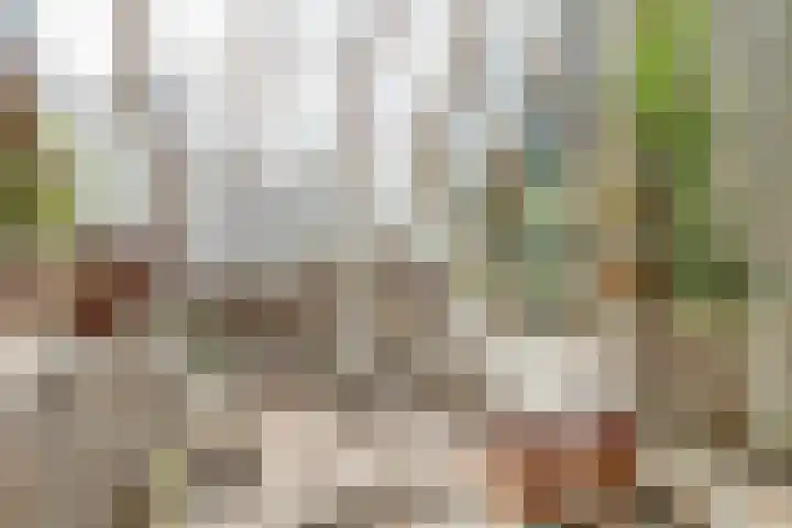 Hoge Startwijk 1 Beugen thumbnail 14