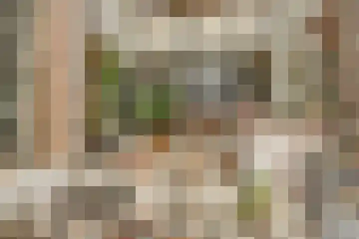 Hoge Startwijk 1 Beugen thumbnail 15