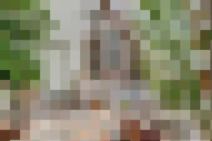 Hoge Startwijk 1 Beugen thumbnail 16