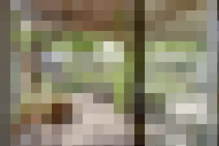 Hoge Startwijk 1 Beugen thumbnail 21