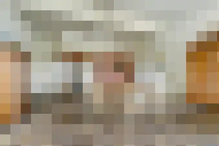 Hoge Startwijk 1 Beugen thumbnail 25