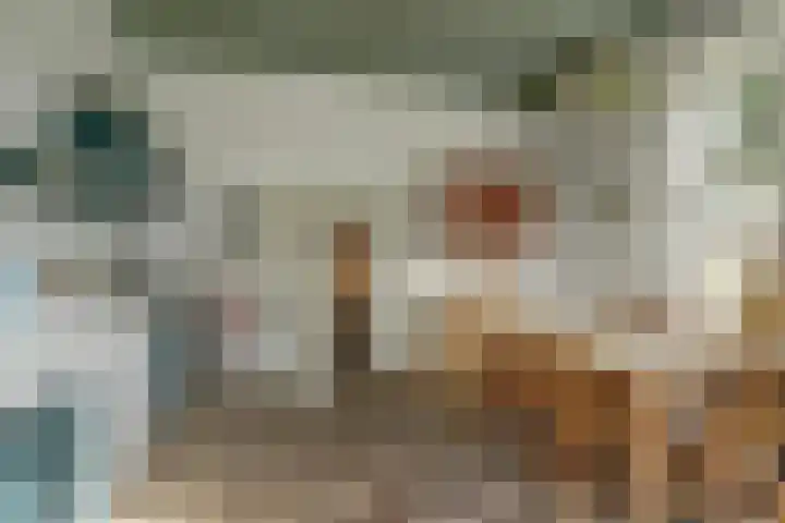Hoge Startwijk 1 Beugen thumbnail 29