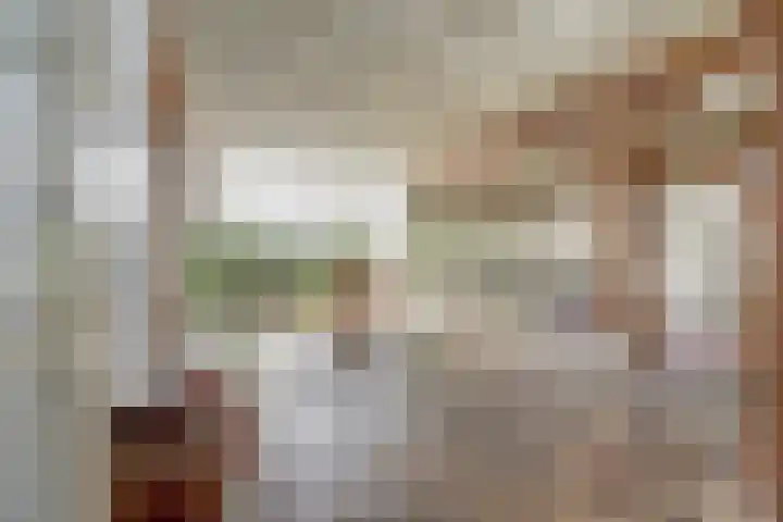 Hoge Startwijk 1 Beugen foto 3