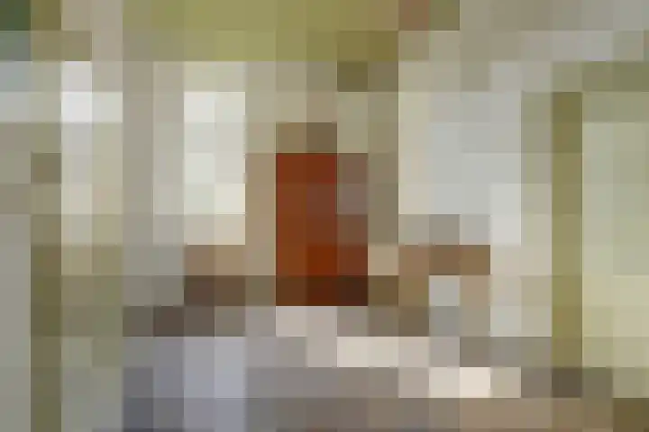 Hoge Startwijk 1 Beugen thumbnail 30