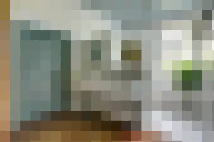 Hoge Startwijk 1 Beugen thumbnail 34
