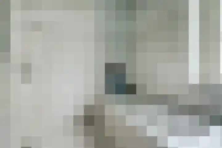 Hoge Startwijk 1 Beugen thumbnail 36