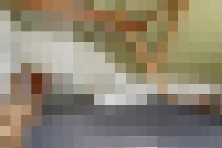 Hoge Startwijk 1 Beugen thumbnail 39
