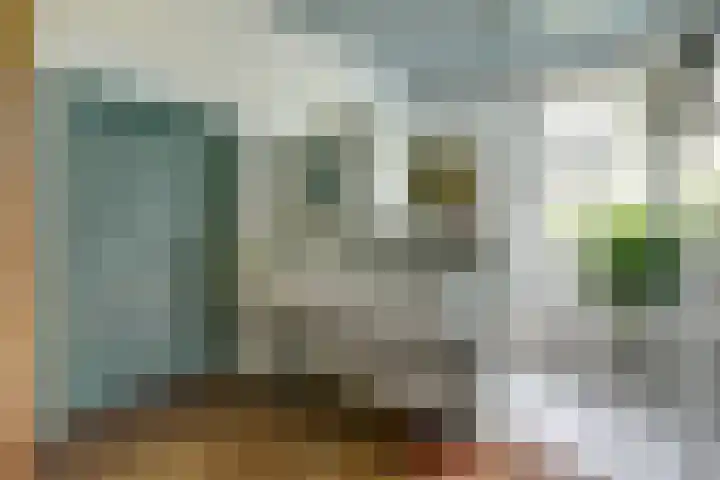 Hoge Startwijk 1 Beugen thumbnail 4