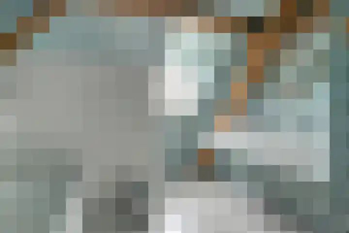 Hoge Startwijk 1 Beugen thumbnail 40