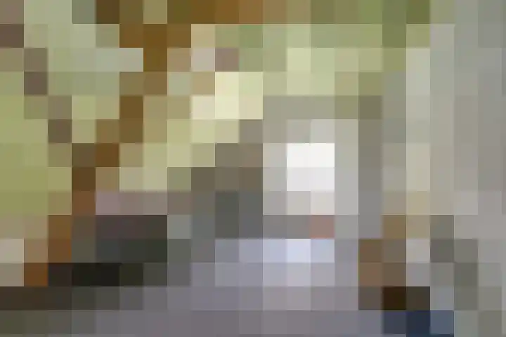 Hoge Startwijk 1 Beugen thumbnail 44