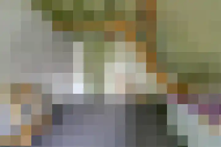 Hoge Startwijk 1 Beugen thumbnail 45