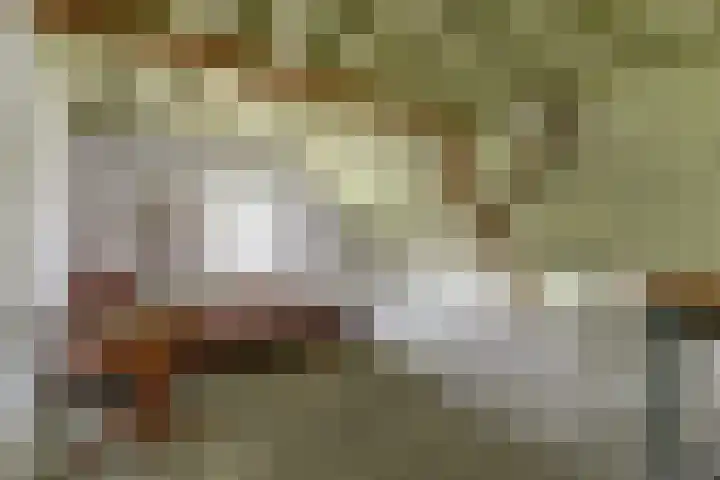 Hoge Startwijk 1 Beugen thumbnail 46
