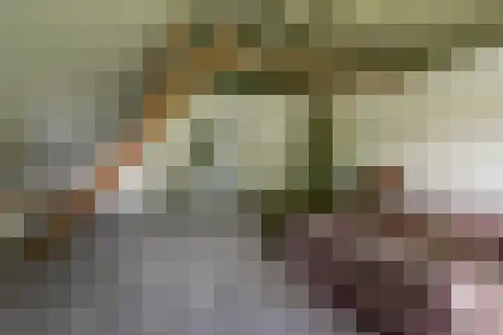 Hoge Startwijk 1 Beugen thumbnail 47
