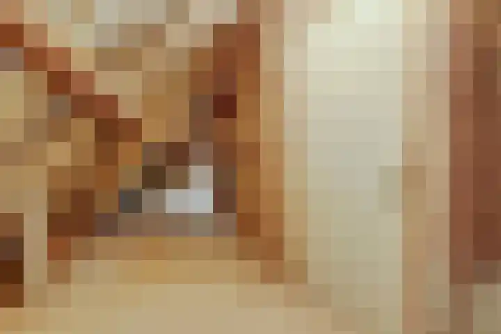 Hoge Startwijk 1 Beugen thumbnail 49