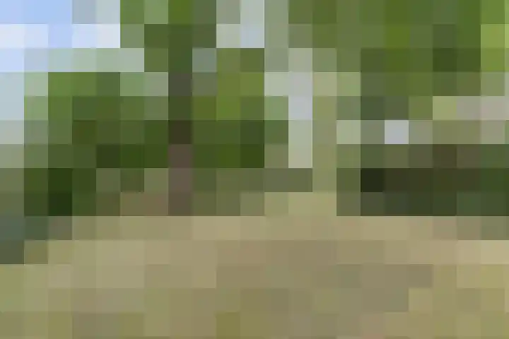 Hoge Startwijk 1 Beugen thumbnail 56