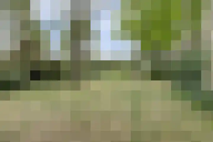 Hoge Startwijk 1 Beugen thumbnail 57