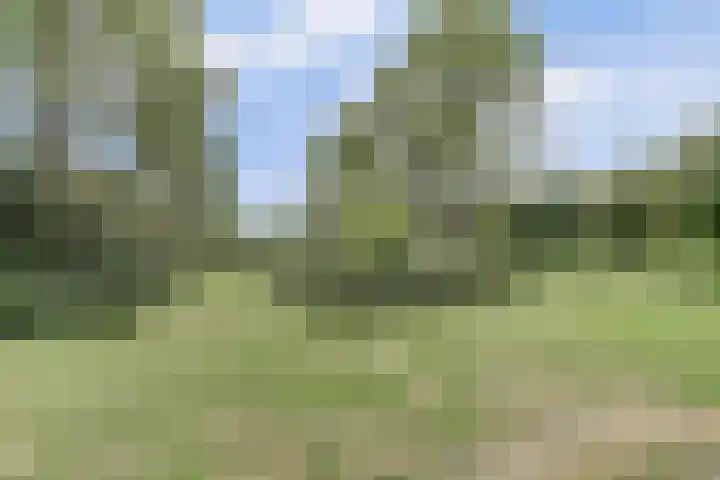 Hoge Startwijk 1 Beugen thumbnail 58