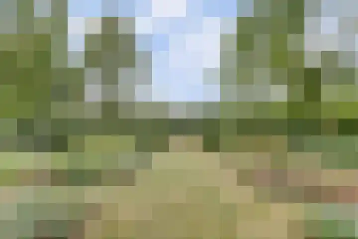 Hoge Startwijk 1 Beugen thumbnail 59
