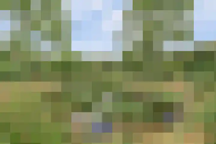 Hoge Startwijk 1 Beugen thumbnail 60