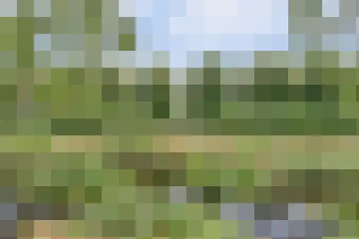 Hoge Startwijk 1 Beugen thumbnail 61
