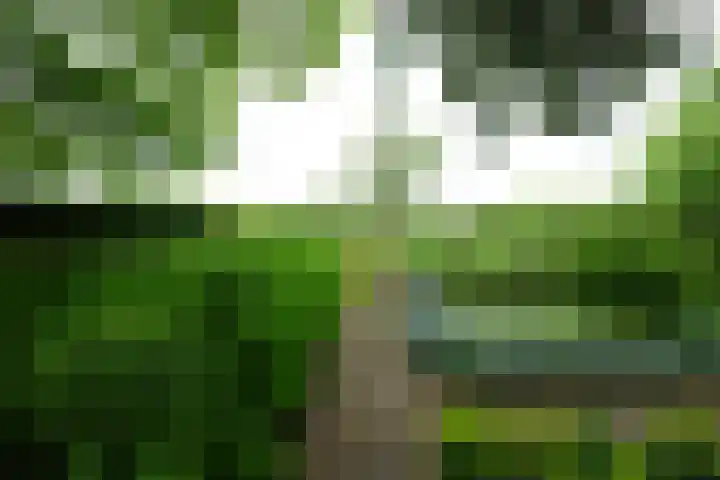 Hoge Startwijk 1 Beugen thumbnail 62