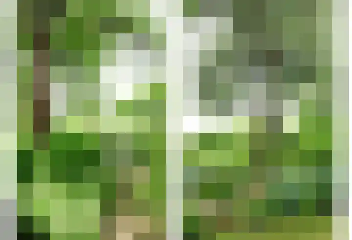 Hoge Startwijk 1 Beugen thumbnail 63