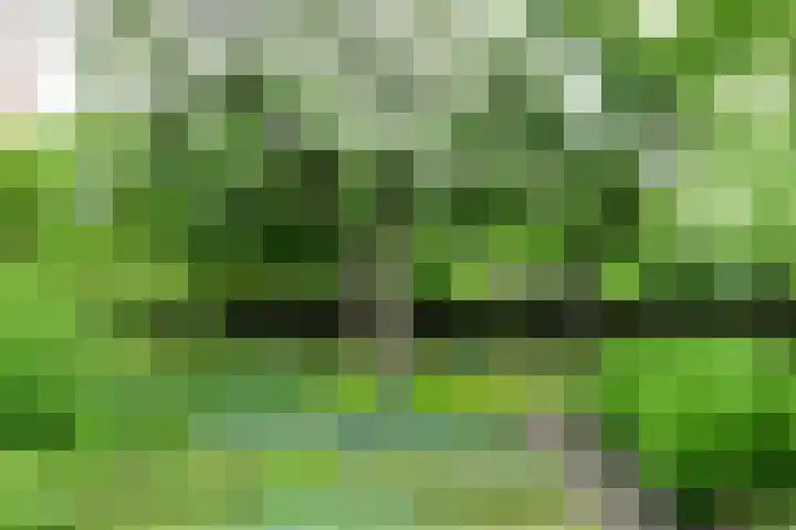 Hoge Startwijk 1 Beugen thumbnail 64