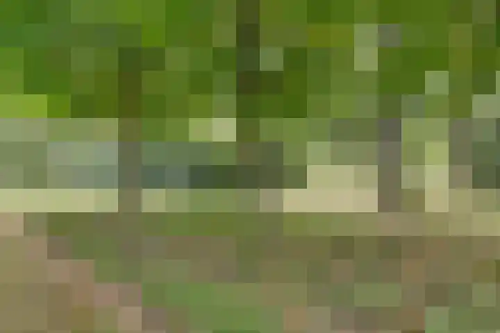 Hoge Startwijk 1 Beugen thumbnail 66