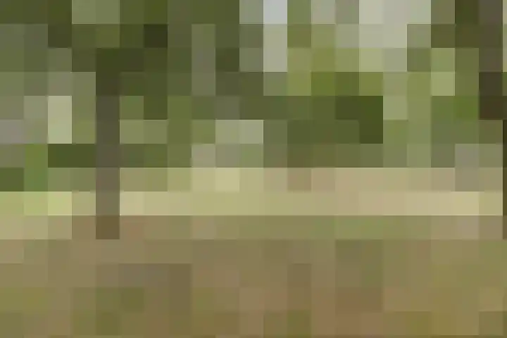 Hoge Startwijk 1 Beugen thumbnail 67
