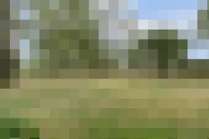 Hoge Startwijk 1 Beugen thumbnail 68