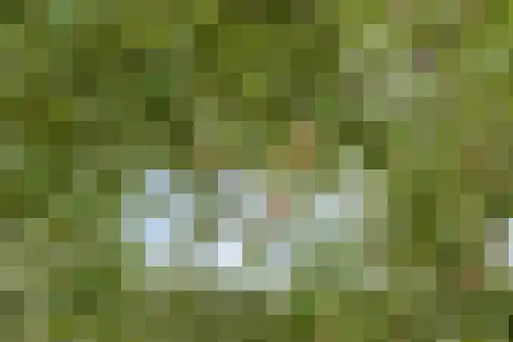 Hoge Startwijk 1 Beugen thumbnail 69