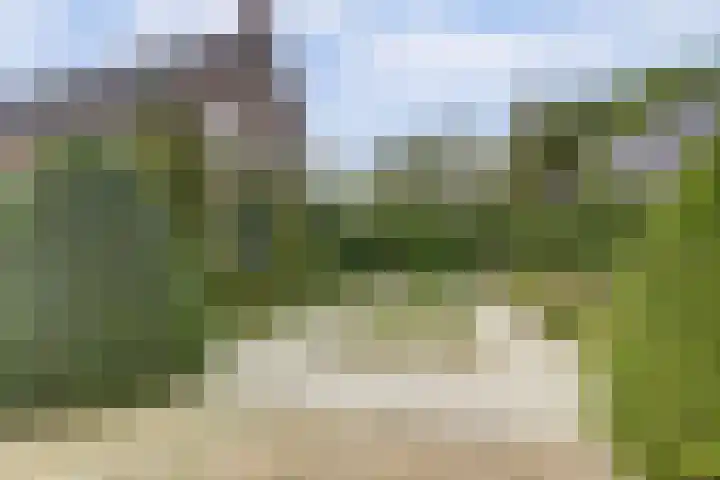 Hoge Startwijk 1 Beugen thumbnail 7