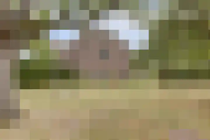 Hoge Startwijk 1 Beugen thumbnail 71