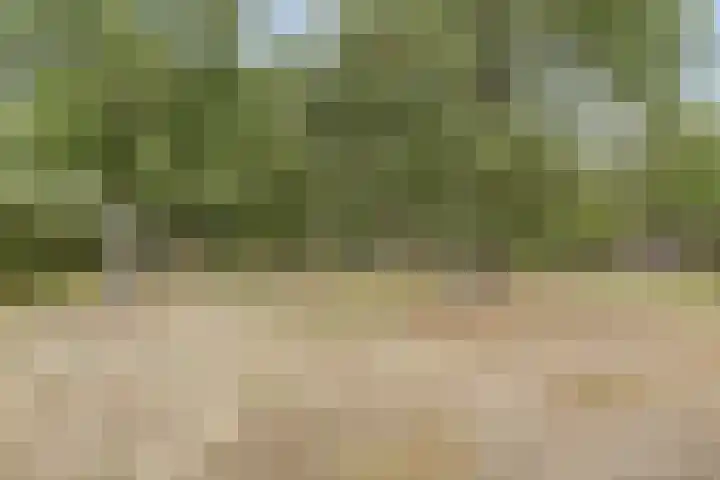 Hoge Startwijk 1 Beugen thumbnail 72