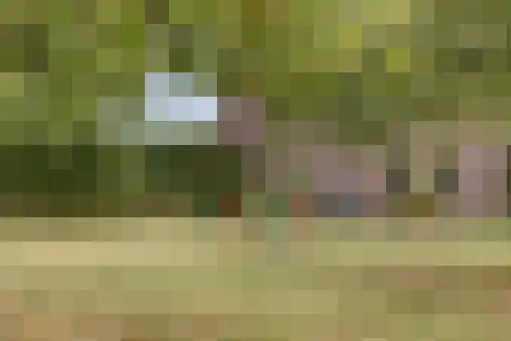 Hoge Startwijk 1 Beugen thumbnail 74