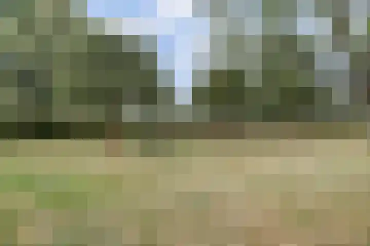 Hoge Startwijk 1 Beugen thumbnail 75