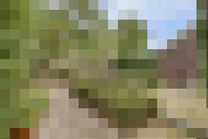 Hoge Startwijk 1 Beugen thumbnail 76