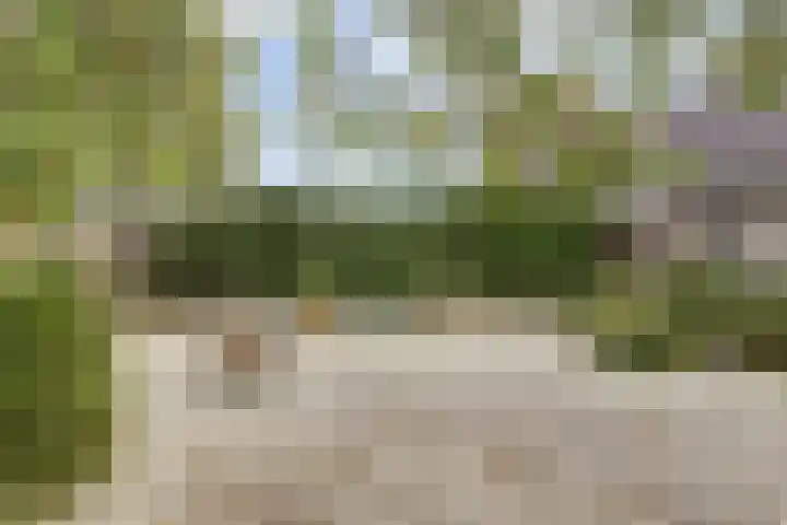 Hoge Startwijk 1 Beugen thumbnail 78